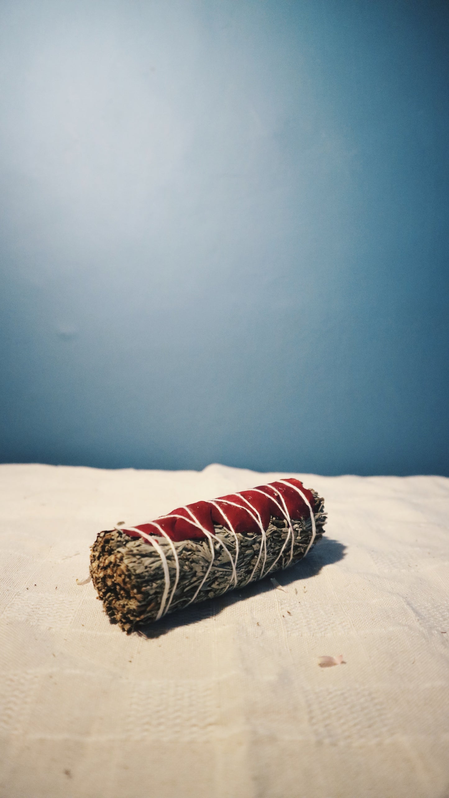 玫瑰藍鼠尾草 Blue Sage with Rose | 財富豐盛 & 幸福感 | Oddkido Studio