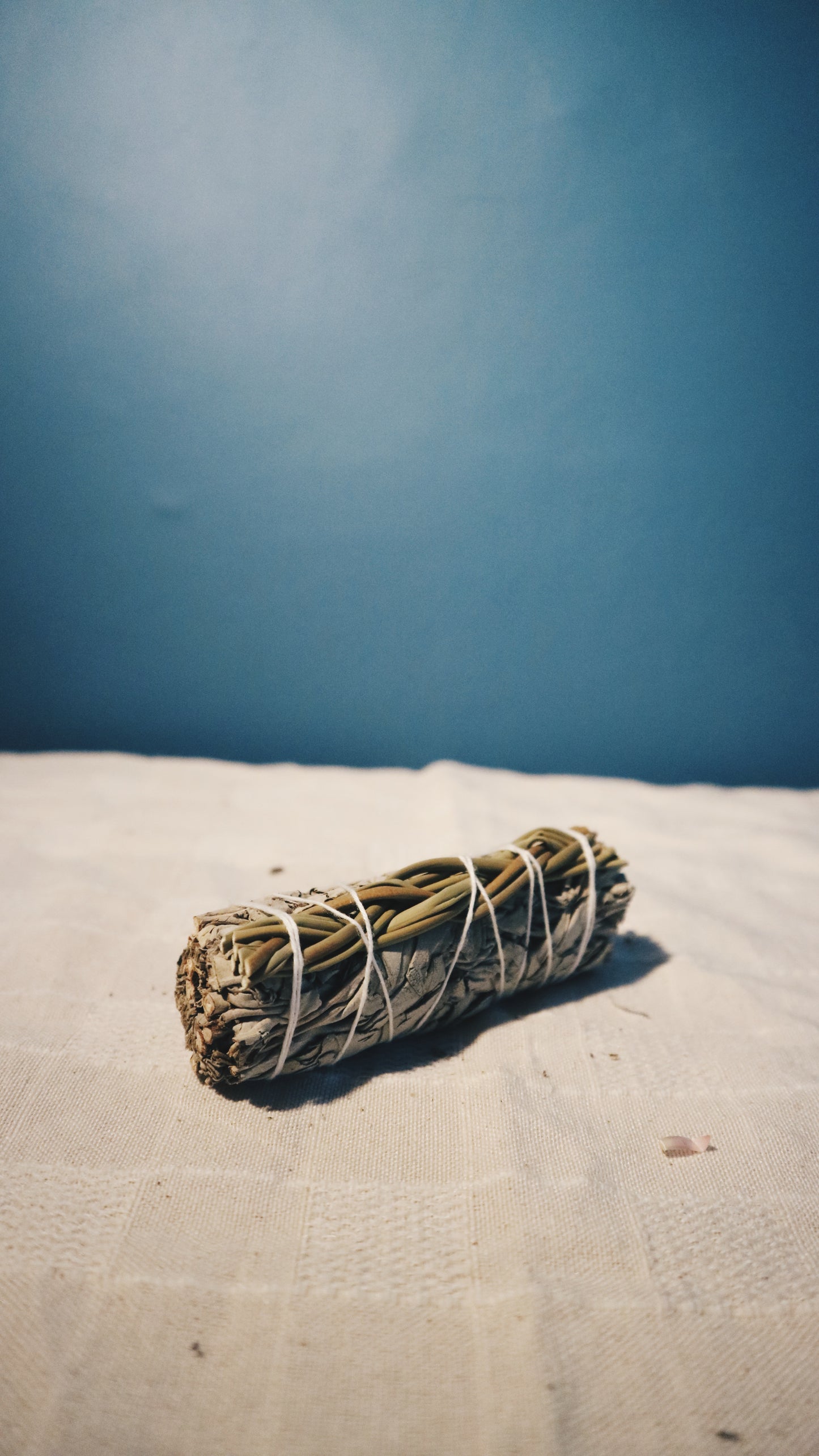 甜草鼠尾草 Braided Sweet Grass Sage | 淨化空間&注入正能量 | Oddkido Studio