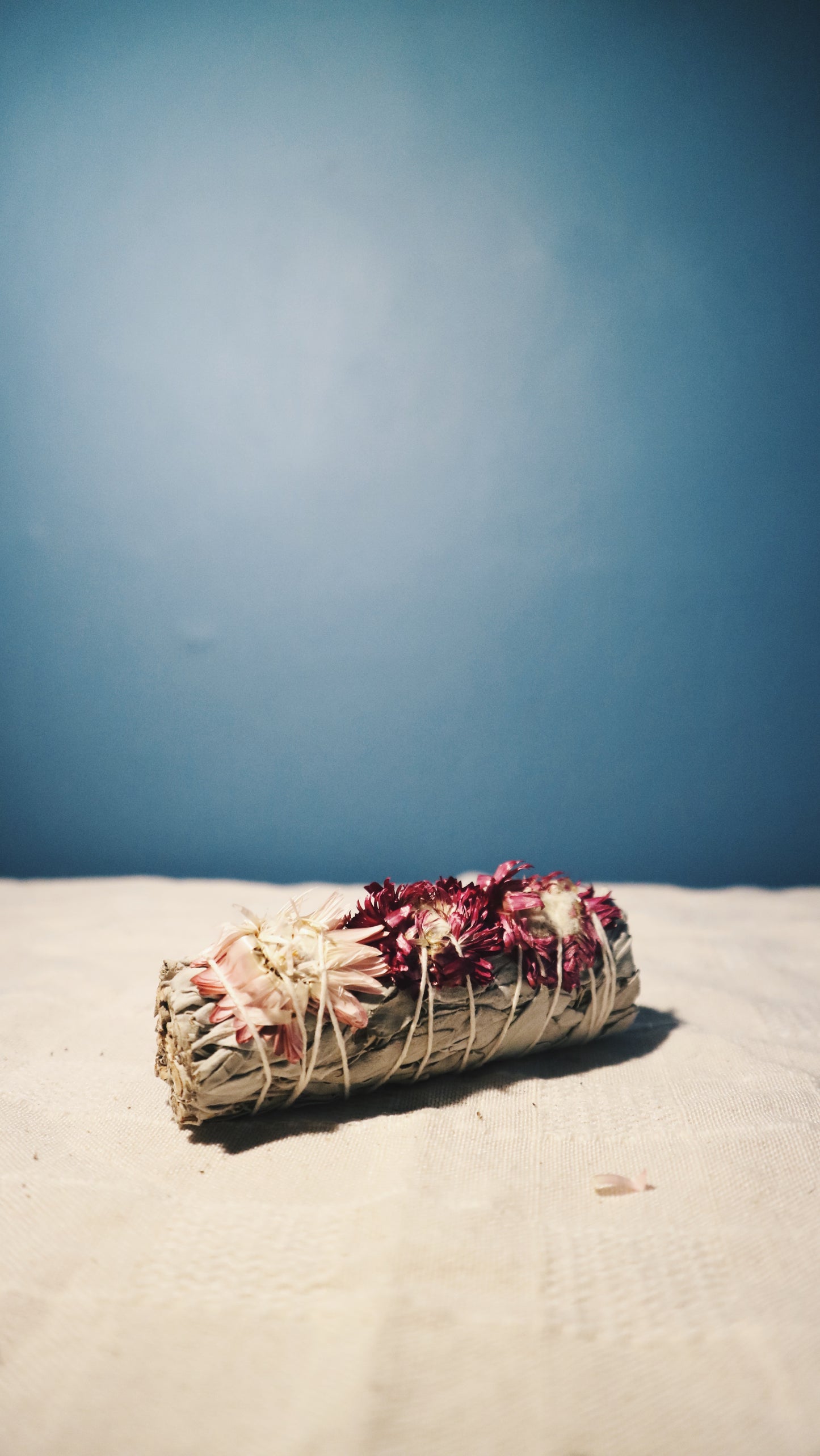 紫太陽花鼠尾草 Sage with Purple Sunflower | 信念 & 樂觀心情 | Oddkido Studio